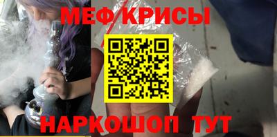 стаф Кингисепп