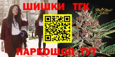 стаф Кингисепп